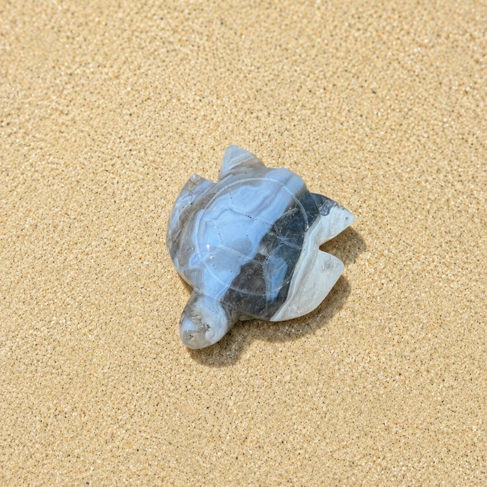 Tortue en Agate Mousse