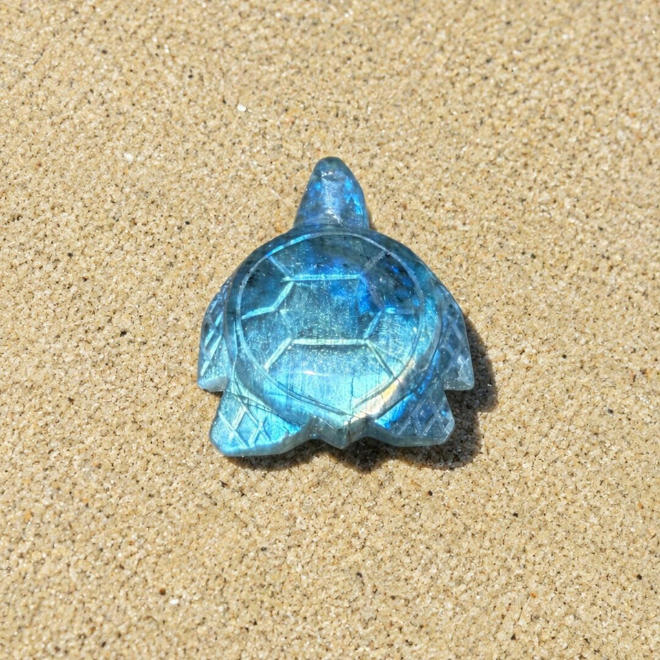 Tortue en Labradorite
